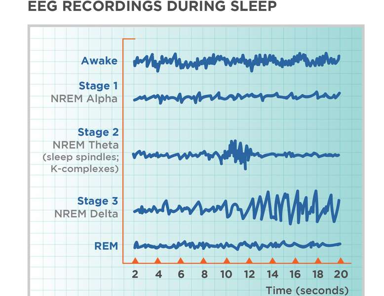 How Long Is a Sleep Cycle? It Is Not Always 90 Minutes | Bedtime Cycle