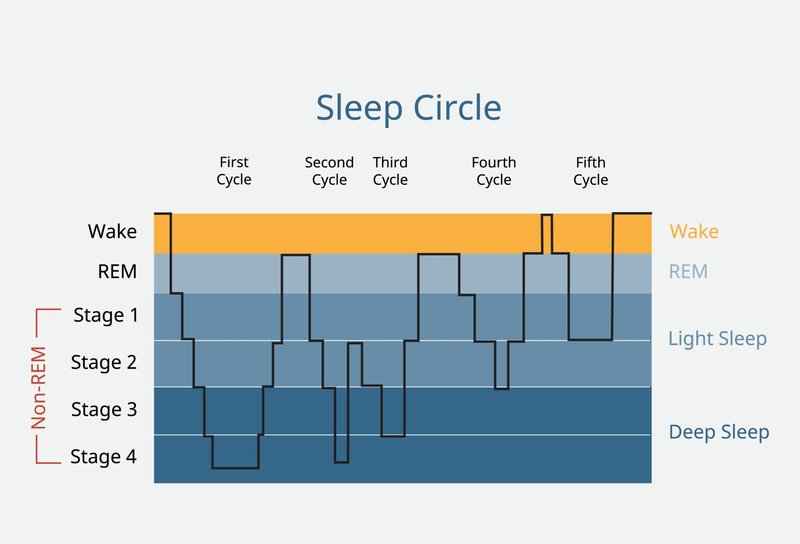 What Is REM Sleep and Why Is It Important? A Complete Guide | Bedtime Cycle