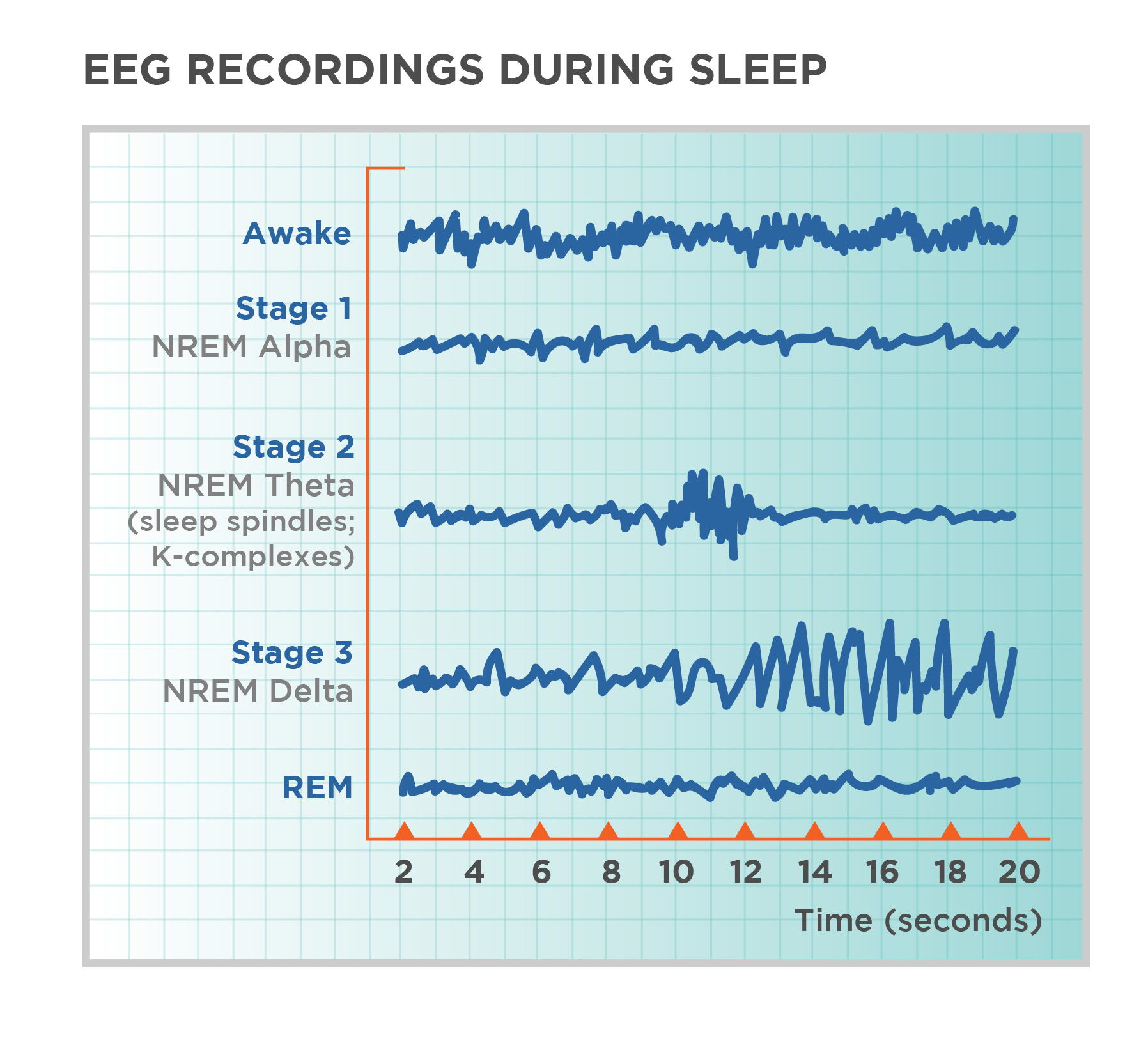 REM vs. Deep Sleep: Why the Cycle Order Matters | Bedtime Cycle